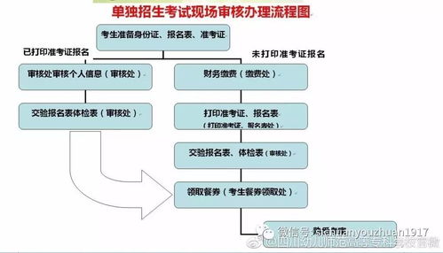 單招考試 現(xiàn)場審核辦理流程圖